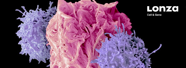 Header-Image_Immune-Cells_600-220.jpg